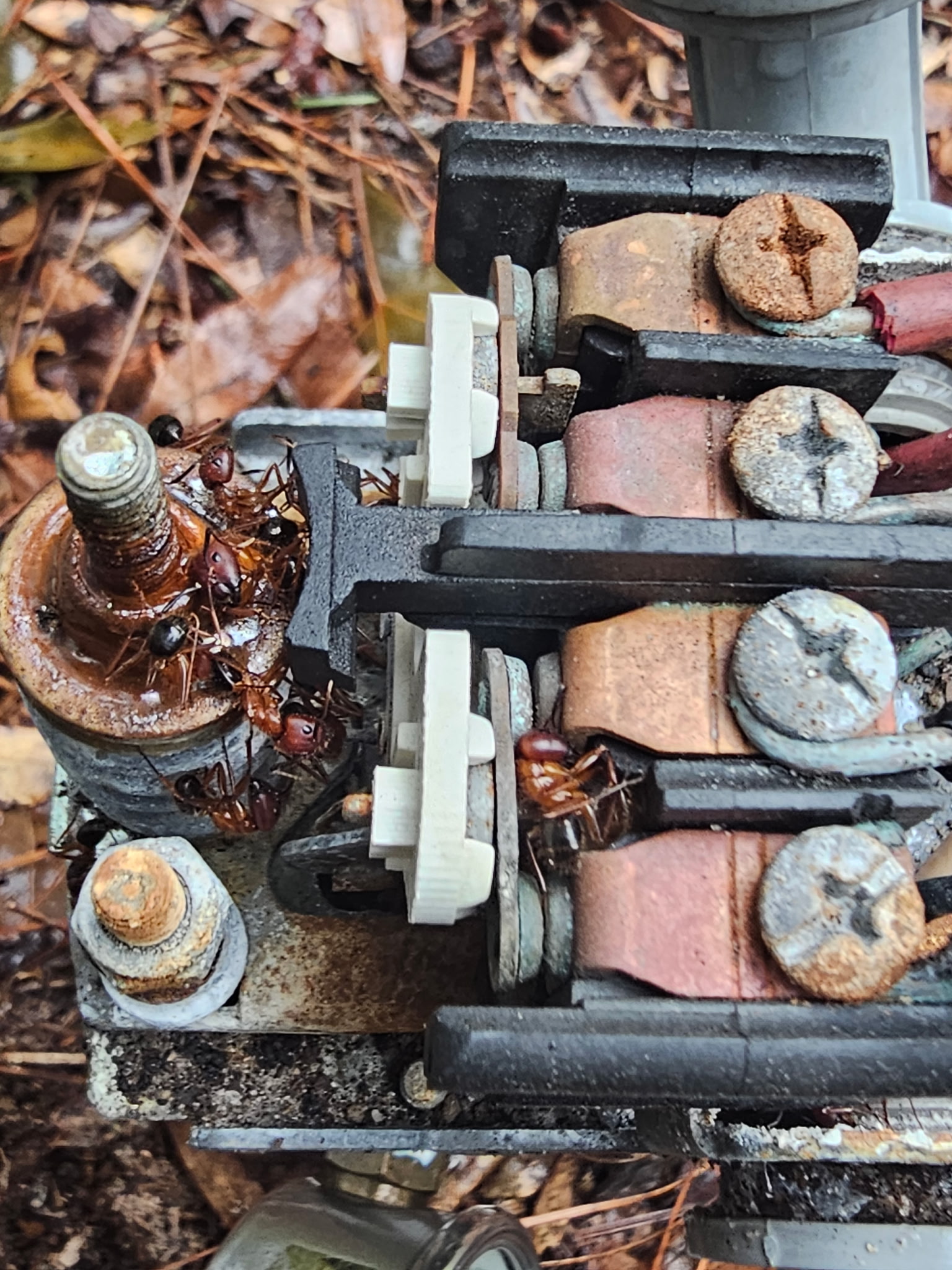 Close-up of exposed well pressure switch contacts and terminal screws